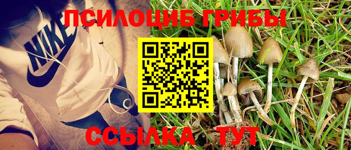 Псилоцибиновые грибы ЛСД Сокол