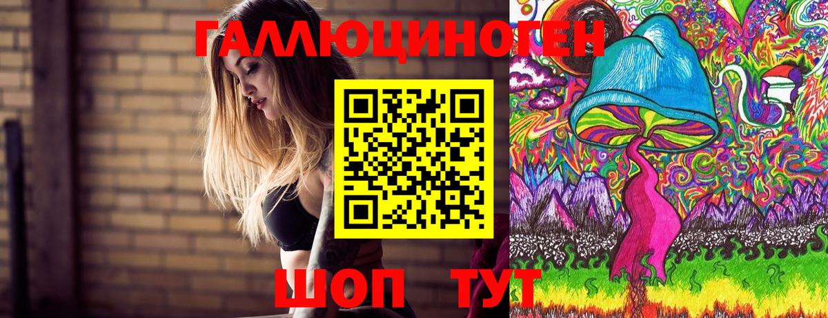 Псилоцибиновые грибы прущие грибы  Псилоцибиновые грибы прущие грибы  Сокол  Вход с VPN 