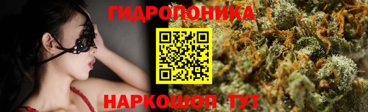 Бошки Шишки ГИДРОПОН Сокол
